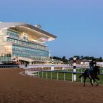 ABR Sunday Selections: Full-Card Picks for Sept. 20 at Belmont Park